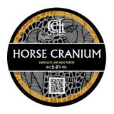 Celt Experience Horse Cranium